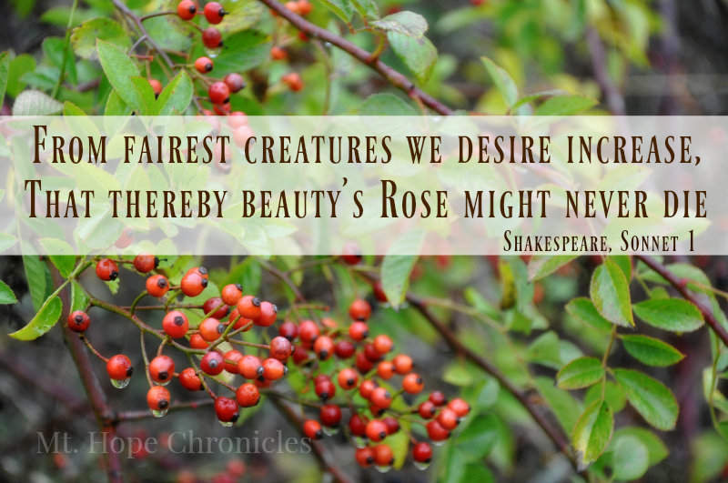 The Shakespeare Project @ Mt. Hope Chronicles