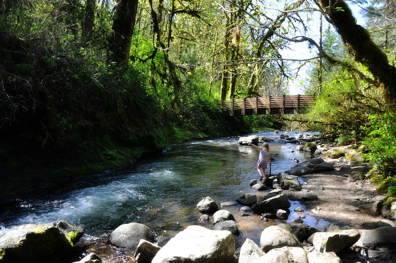 McDowell Creek Falls (16) @ Mt. Hope Chronicles