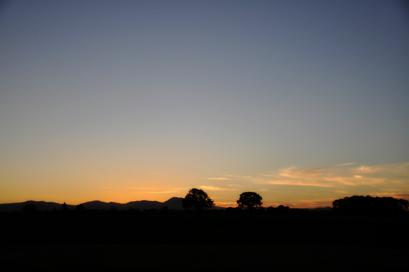 Img2014-08-28_0266fpm