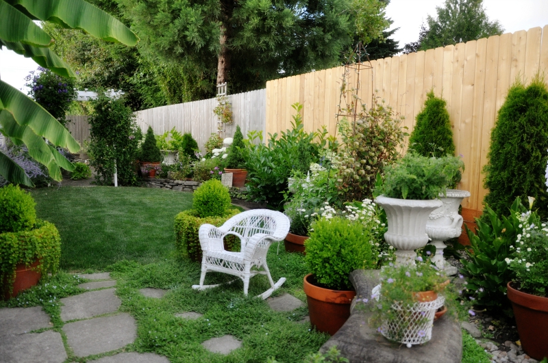 Debi's Garden @ Mt. Hope Chronicles