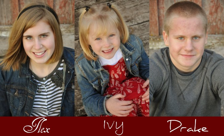 Ilex, Ivy, and Drake