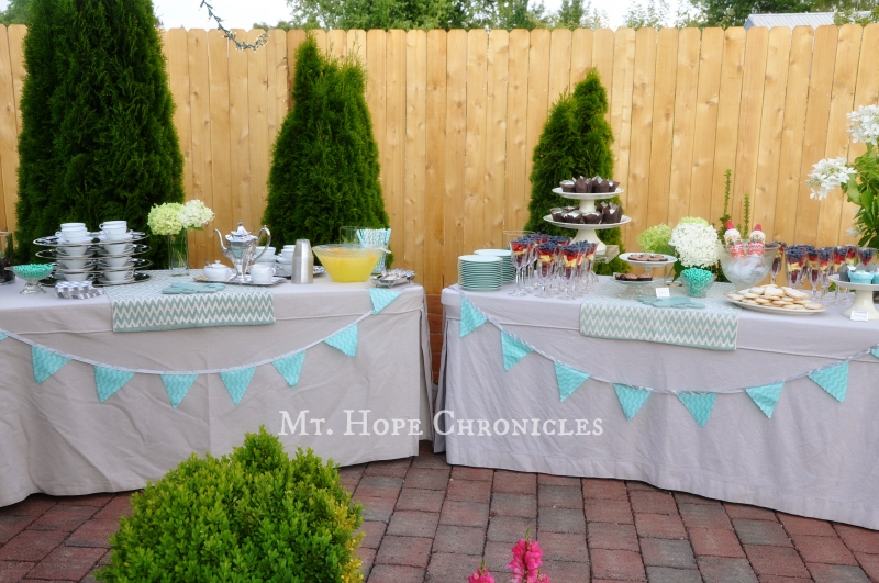 Lindsay's Bridal Shower @ Mt. Hope Chronicles