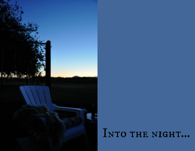 Into the Night