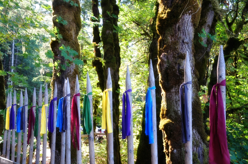 Into the Forest @ Mt. Hope Chronicles