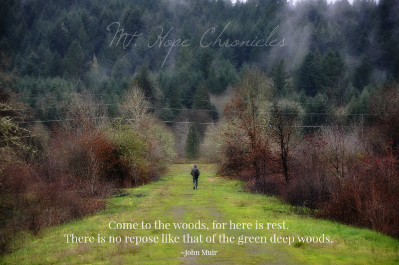 Green Friday (13) @ Mt. Hope Chronicles