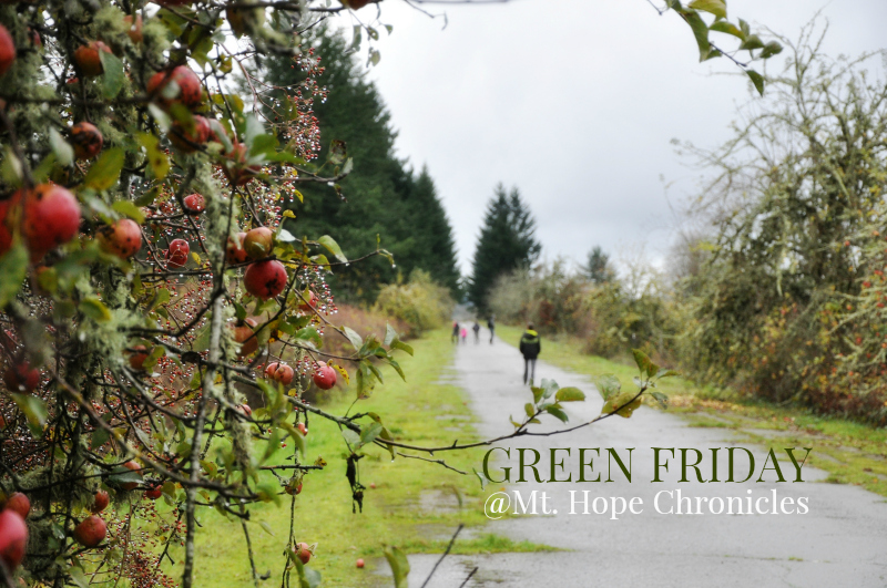 Green Friday @ Mt. Hope Chronicles