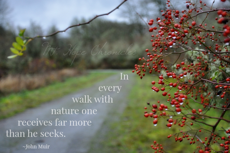 In Every Walk with Nature @ Mt. Hope Chronicles