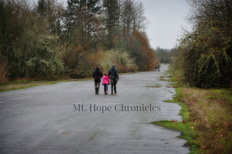 Green Friday (16) @ Mt. Hope Chronicles