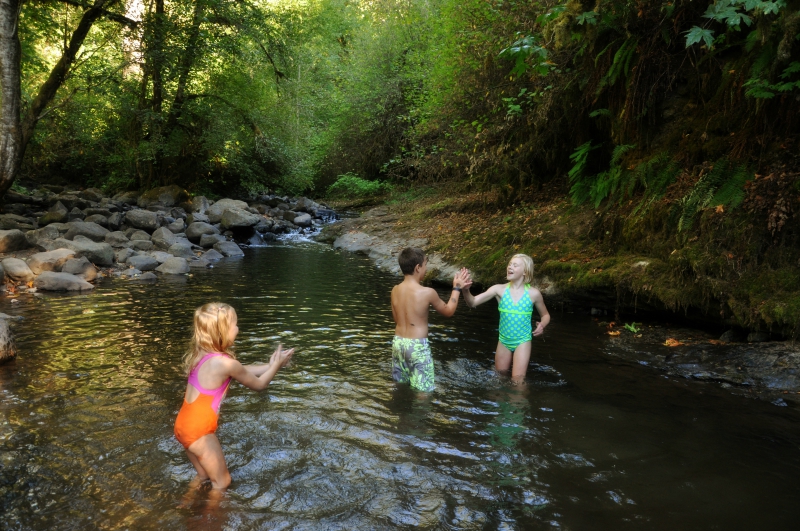 In the Water @ Mt. Hope Chronicles