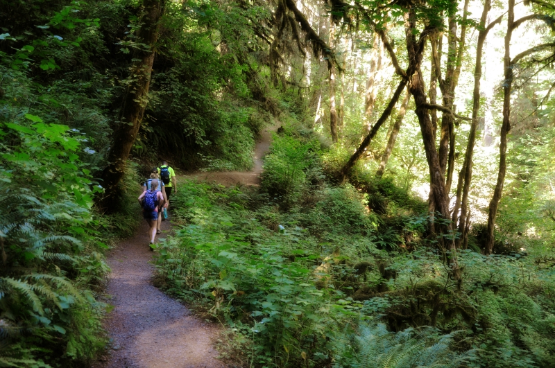 Hiking @ Mt. Hope Chronicles