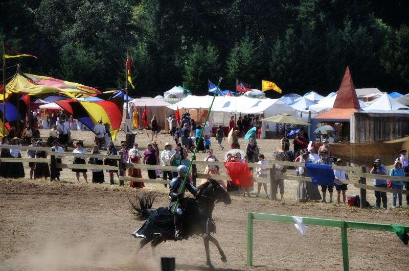 Jousting @ Mt. Hope Chronicles