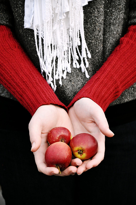 Img2012-11-22_0125f