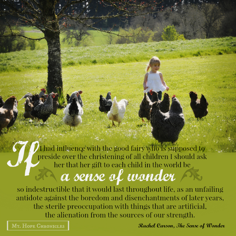A Sense of Wonder