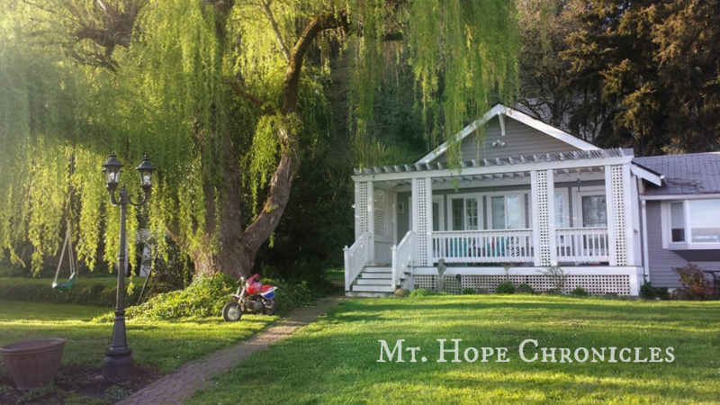 Spring Green @ Mt. Hope Chronicles