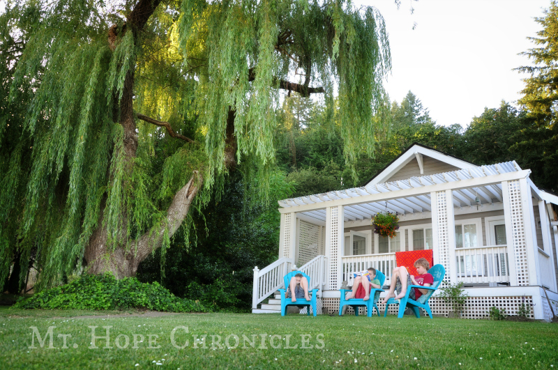 Boys' Summer Reading @ Mt. Hope Chronicles